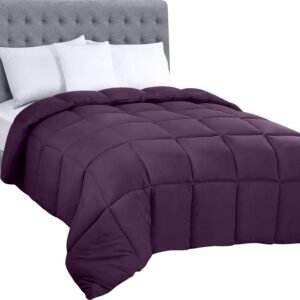 Bedding Comforters Queen Size, All Season Duvet Insert, Down Alternative Box Stitched Bed Comforter with Corner Tabs, Machine Washable (Plum)